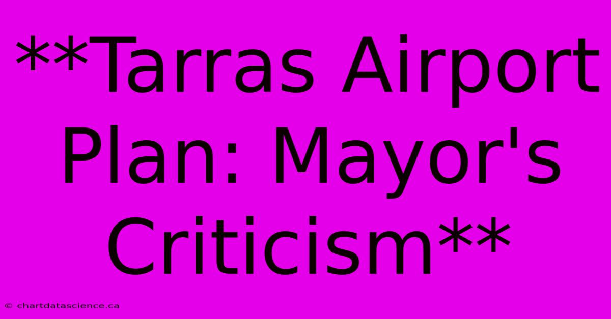 **Tarras Airport Plan: Mayor's Criticism**