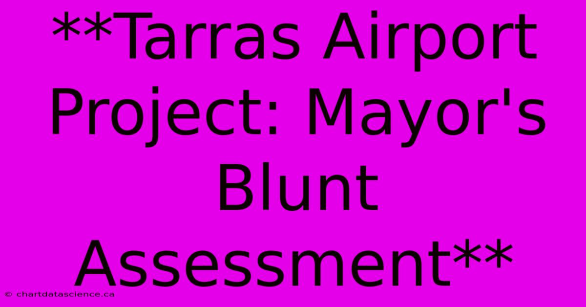 **Tarras Airport Project: Mayor's Blunt Assessment** 