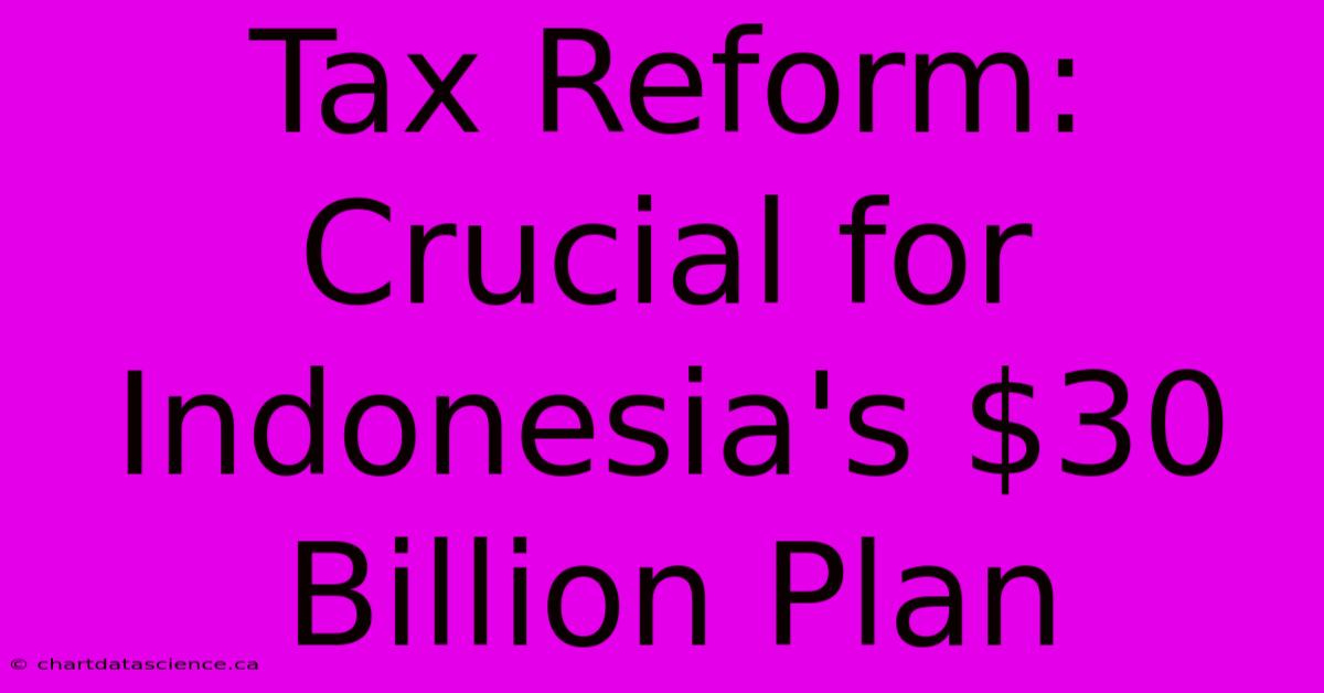 Tax Reform: Crucial For Indonesia's $30 Billion Plan 