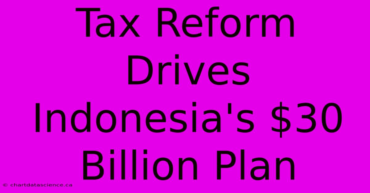 Tax Reform Drives Indonesia's $30 Billion Plan