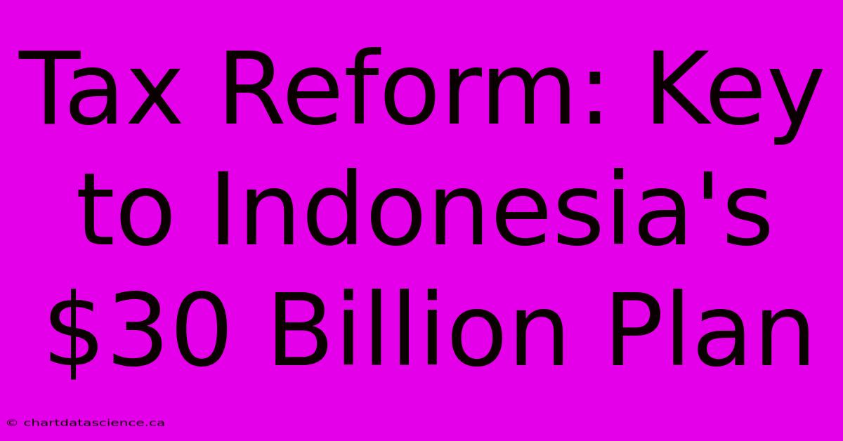 Tax Reform: Key To Indonesia's $30 Billion Plan