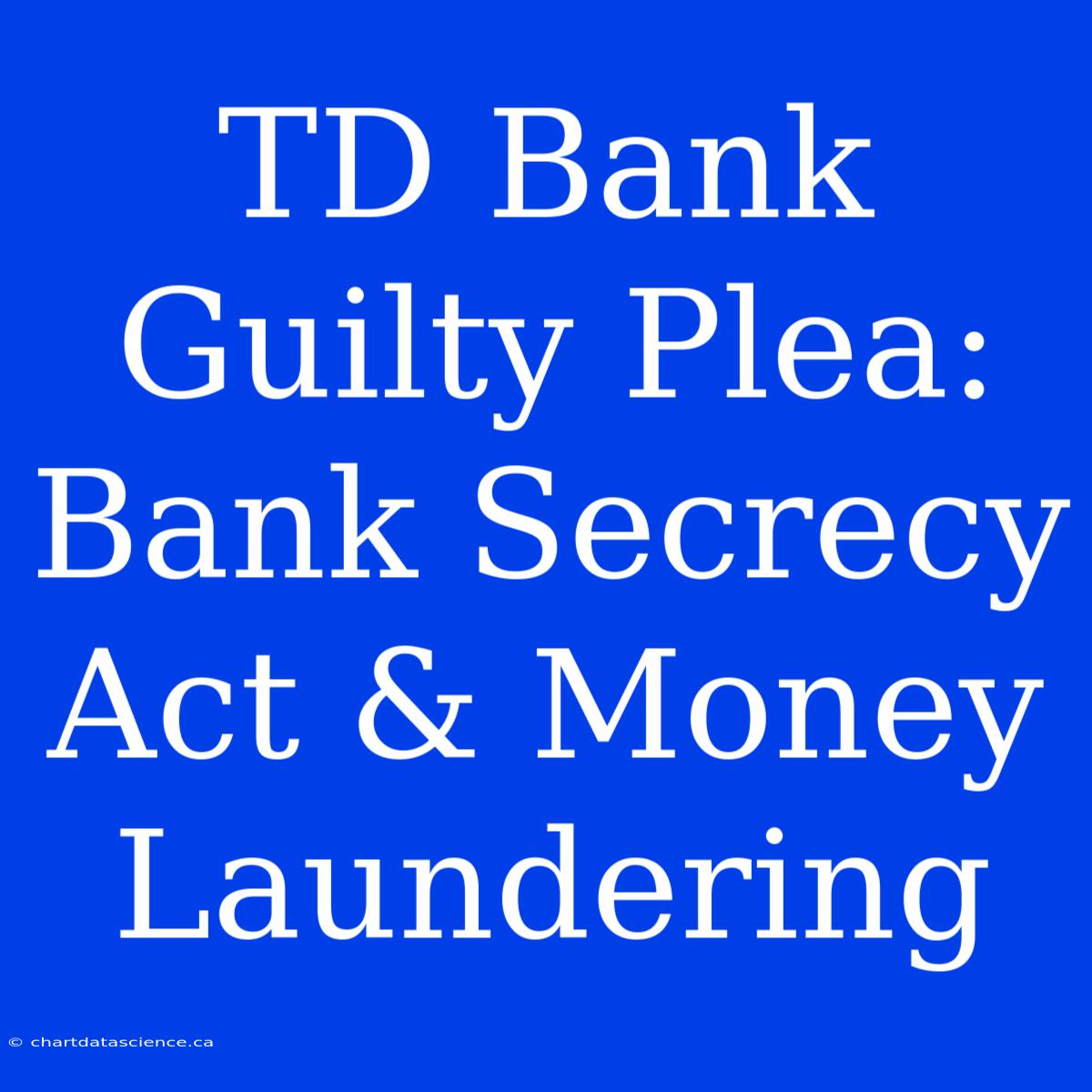 TD Bank Guilty Plea: Bank Secrecy Act & Money Laundering