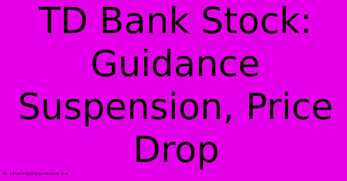 TD Bank Stock: Guidance Suspension, Price Drop