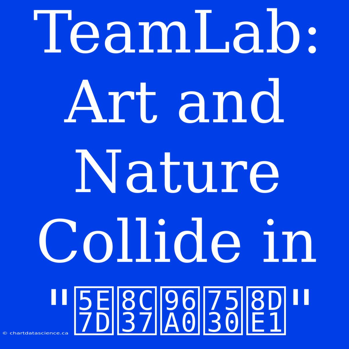 TeamLab:  Art And Nature Collide In 