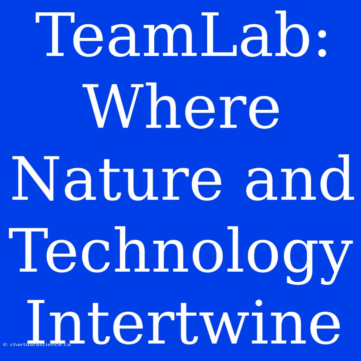 TeamLab: Where Nature And Technology Intertwine