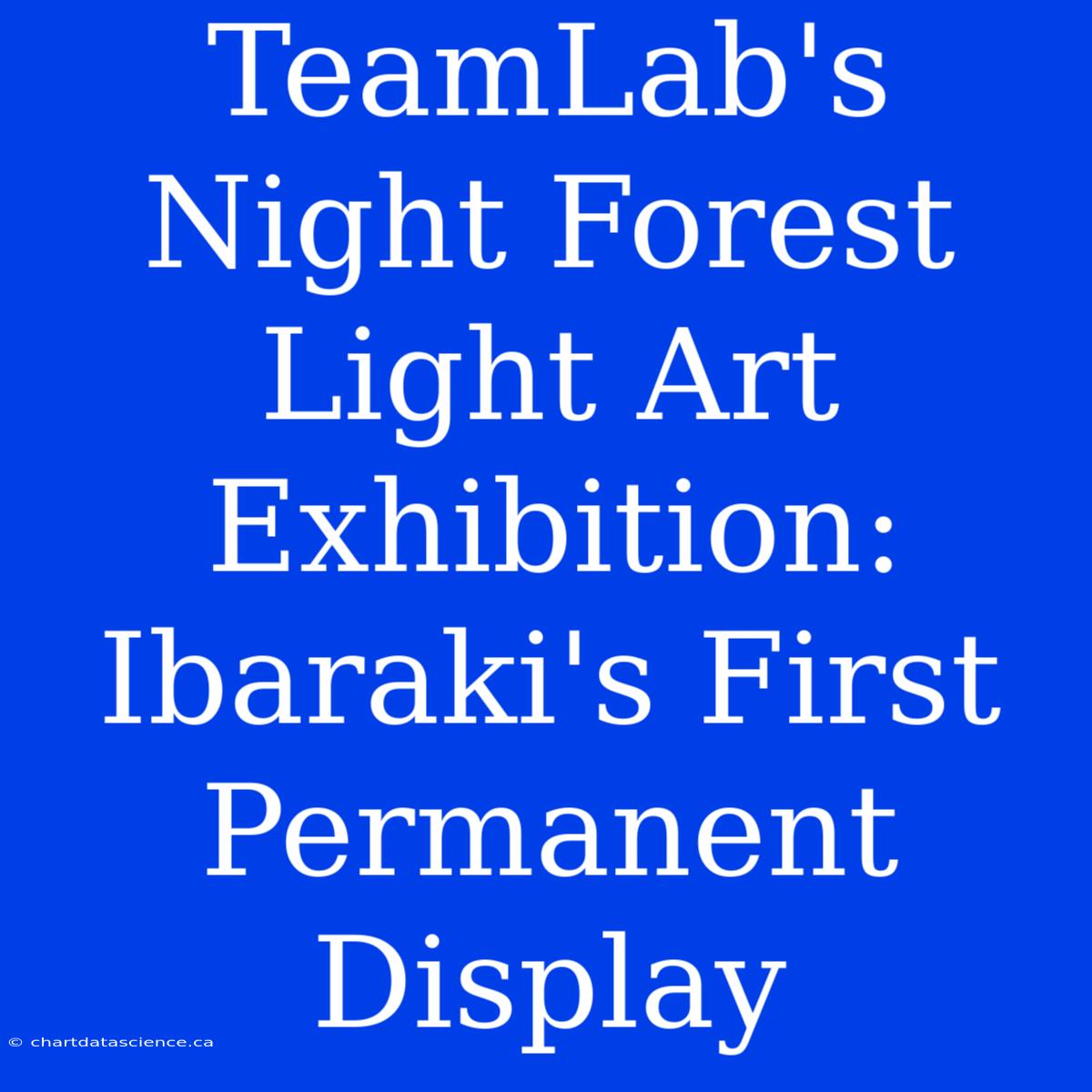 TeamLab's Night Forest Light Art Exhibition: Ibaraki's First Permanent Display