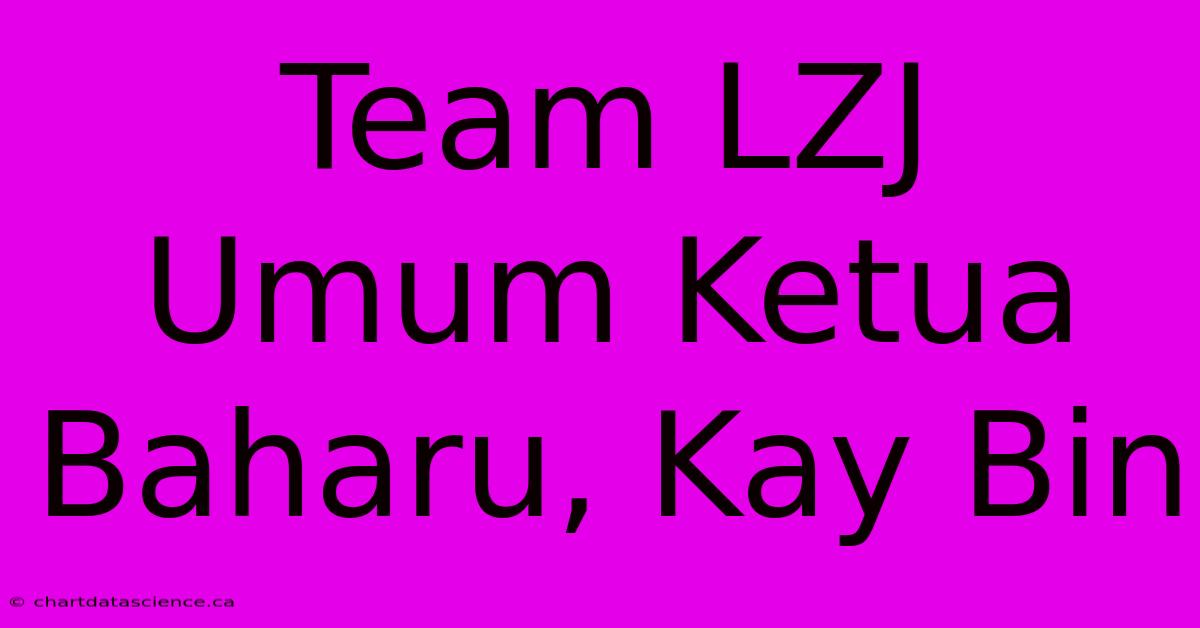 Team LZJ Umum Ketua Baharu, Kay Bin