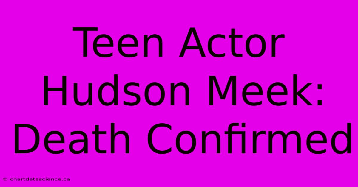 Teen Actor Hudson Meek: Death Confirmed