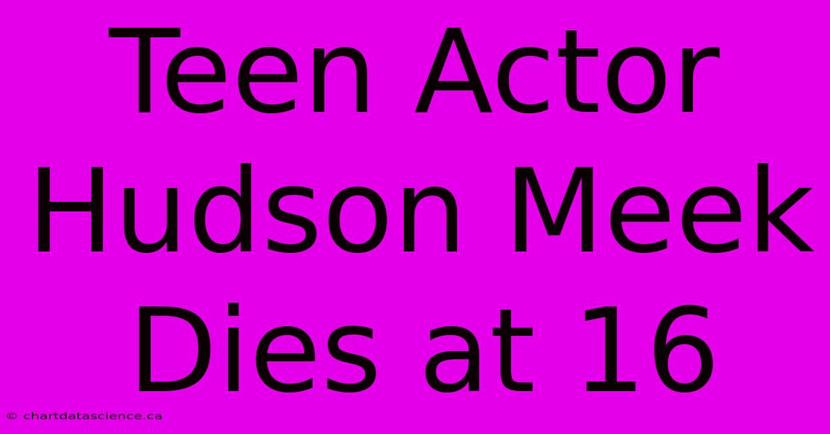 Teen Actor Hudson Meek Dies At 16