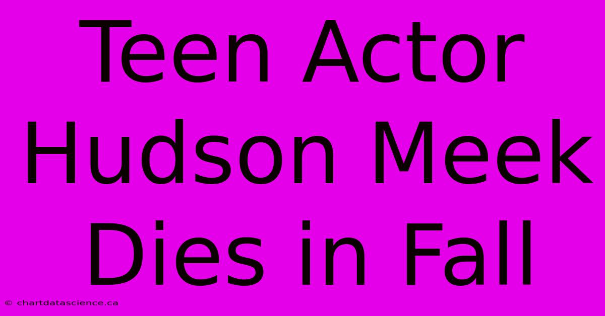 Teen Actor Hudson Meek Dies In Fall