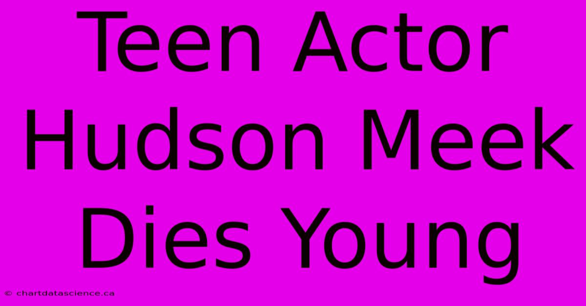 Teen Actor Hudson Meek Dies Young