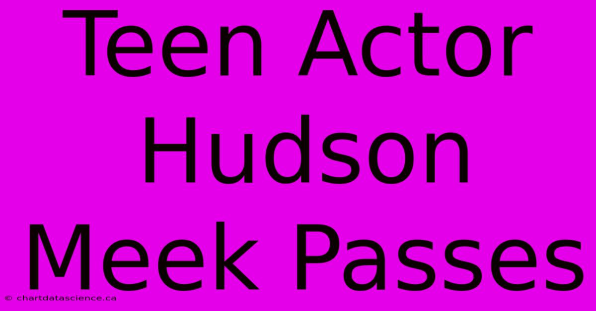 Teen Actor Hudson Meek Passes