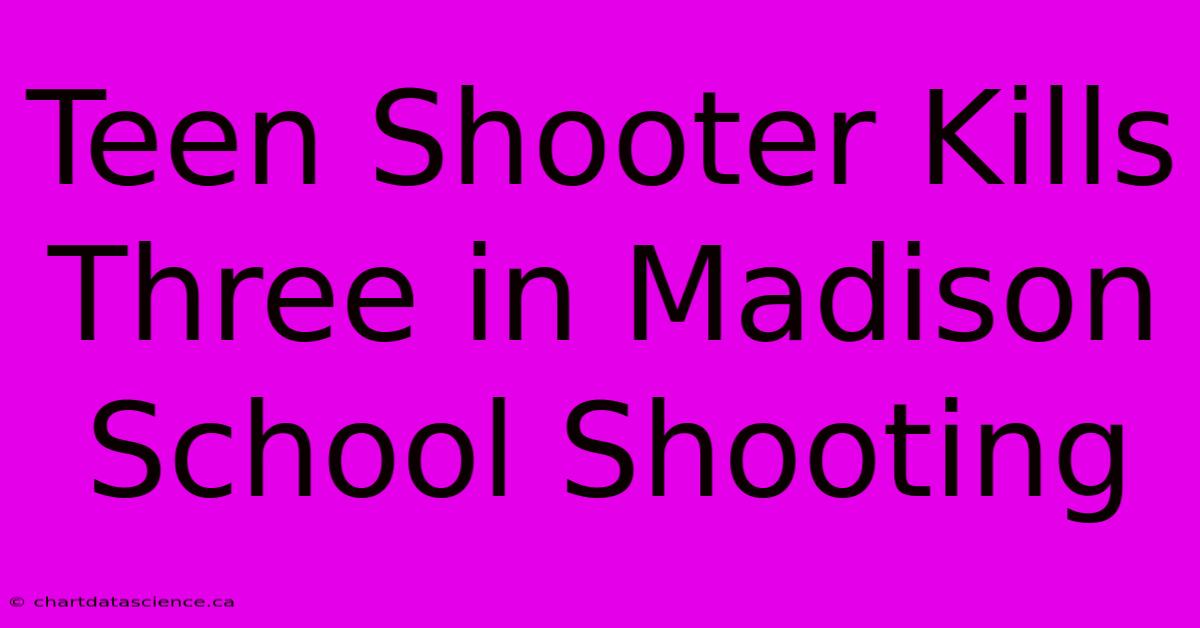 Teen Shooter Kills Three In Madison School Shooting