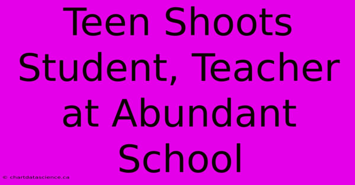 Teen Shoots Student, Teacher At Abundant School