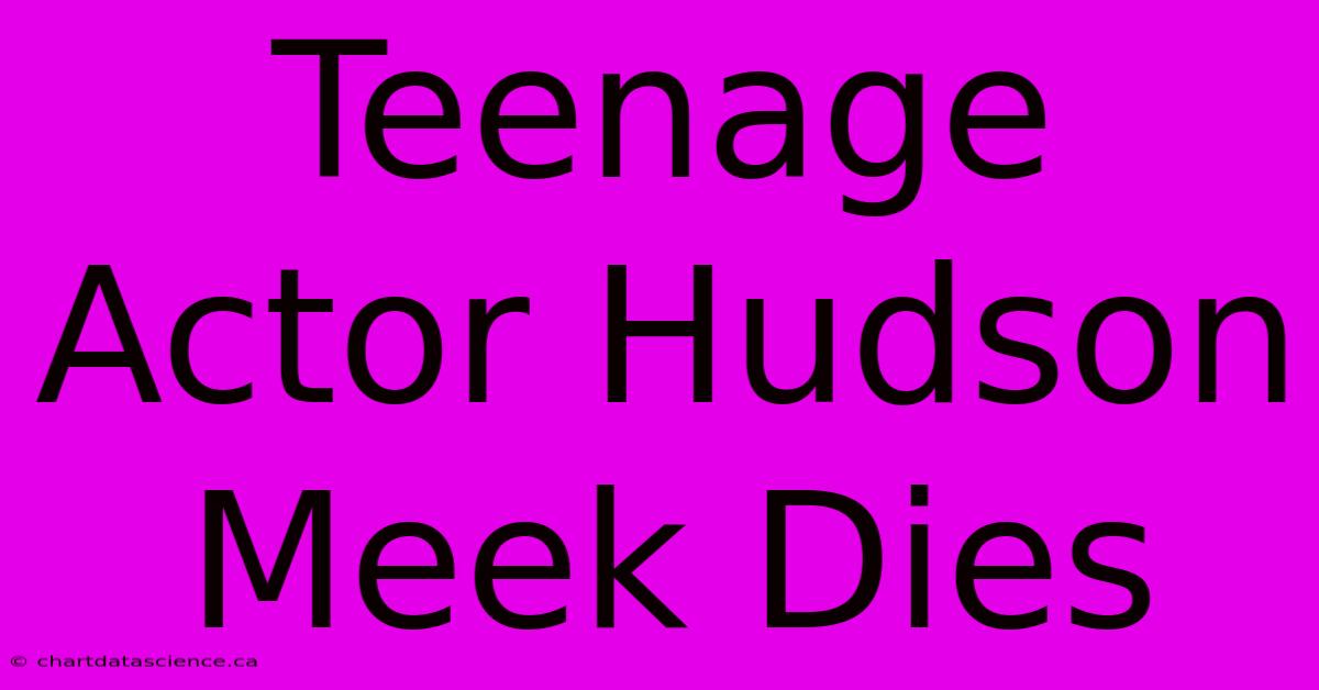 Teenage Actor Hudson Meek Dies