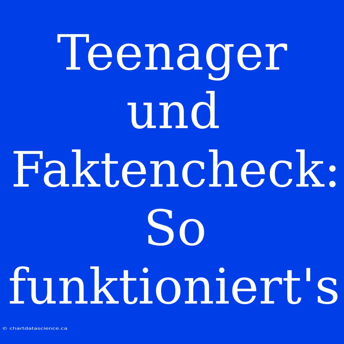 Teenager  Und  Faktencheck:  So  Funktioniert's