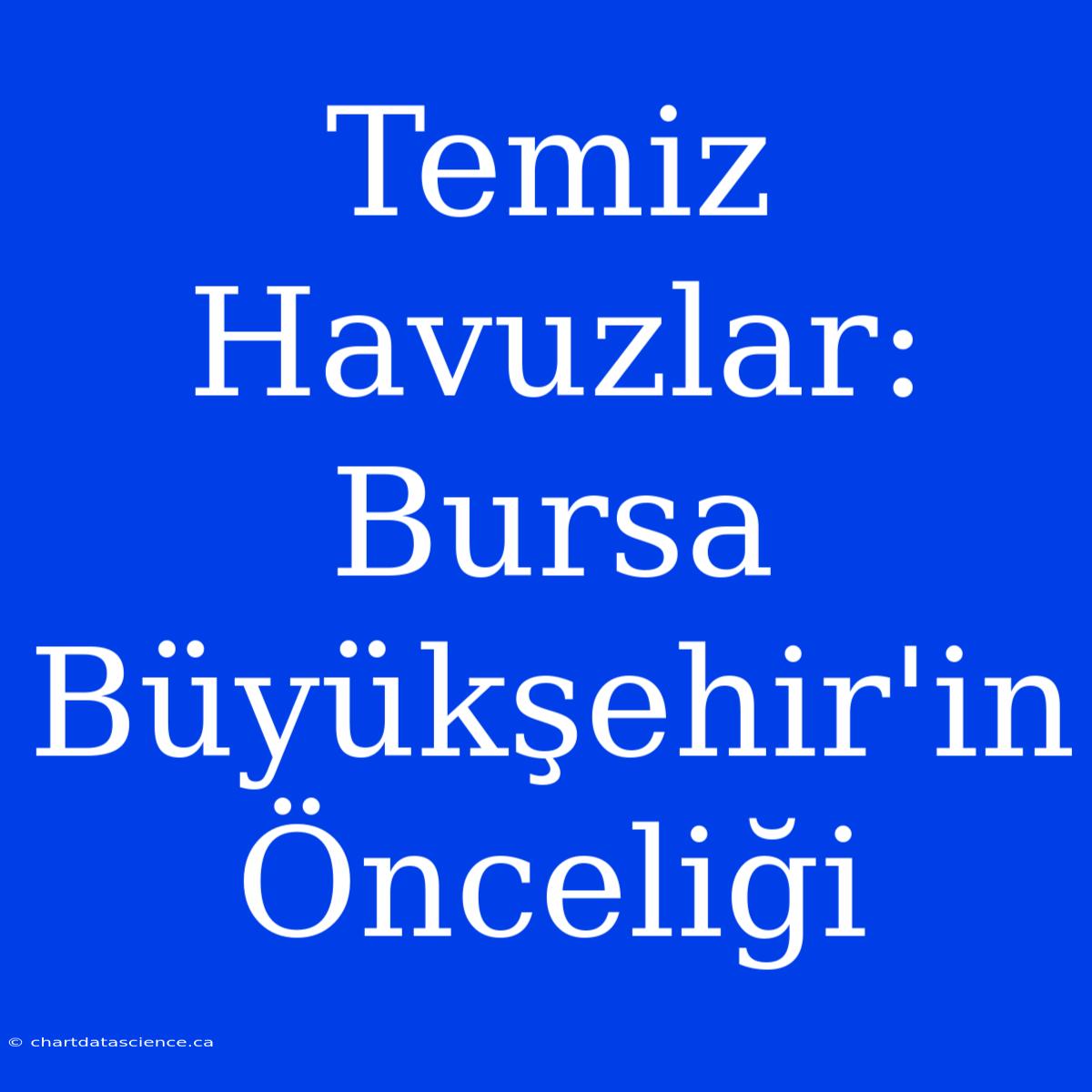 Temiz Havuzlar: Bursa Büyükşehir'in Önceliği