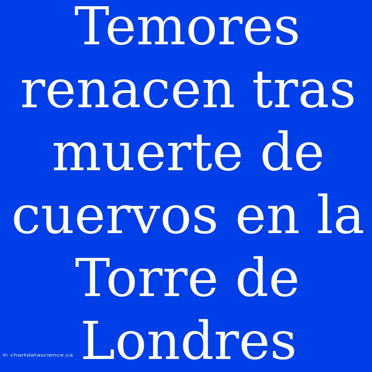 Temores Renacen Tras Muerte De Cuervos En La Torre De Londres