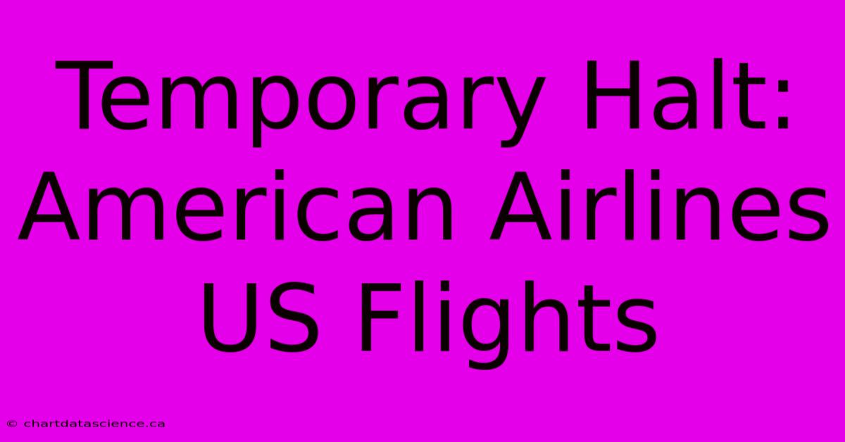 Temporary Halt: American Airlines US Flights