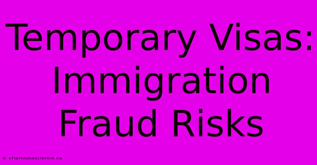 Temporary Visas: Immigration Fraud Risks