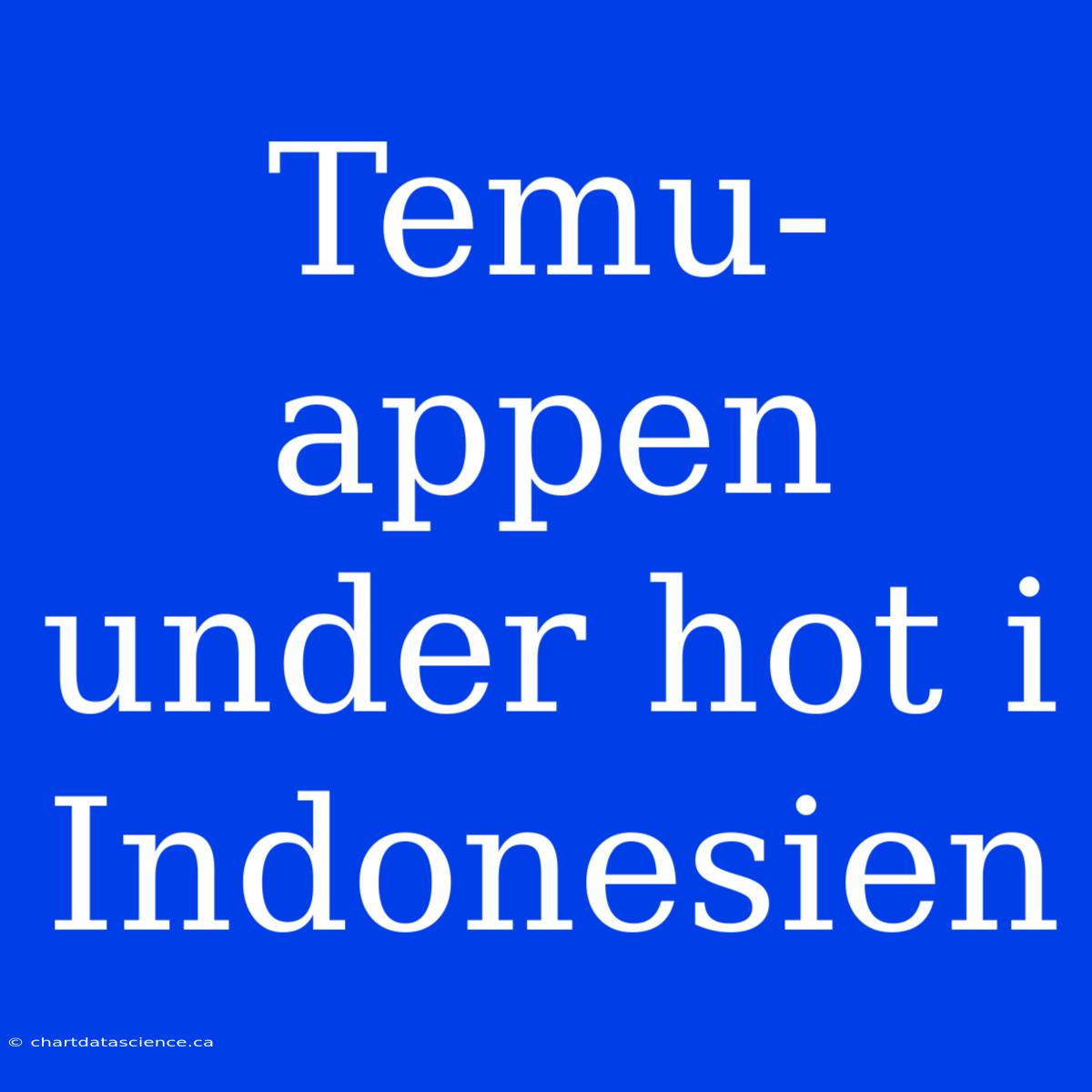 Temu-appen Under Hot I Indonesien