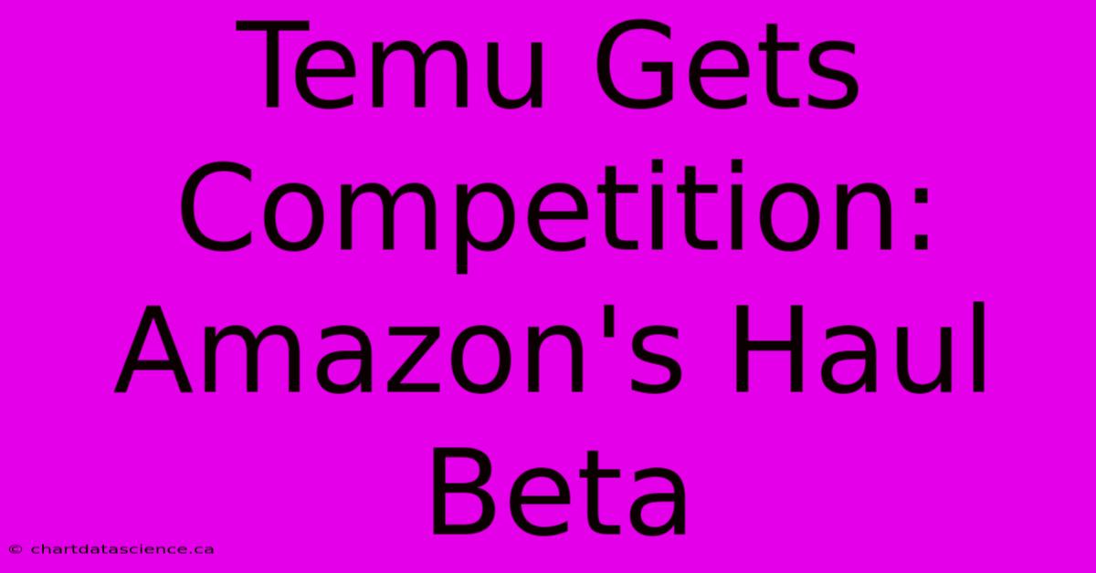 Temu Gets Competition: Amazon's Haul Beta