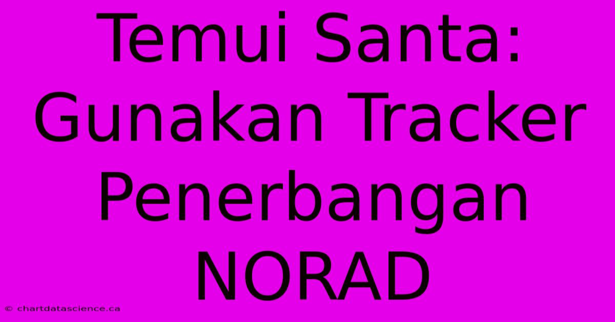 Temui Santa: Gunakan Tracker Penerbangan NORAD