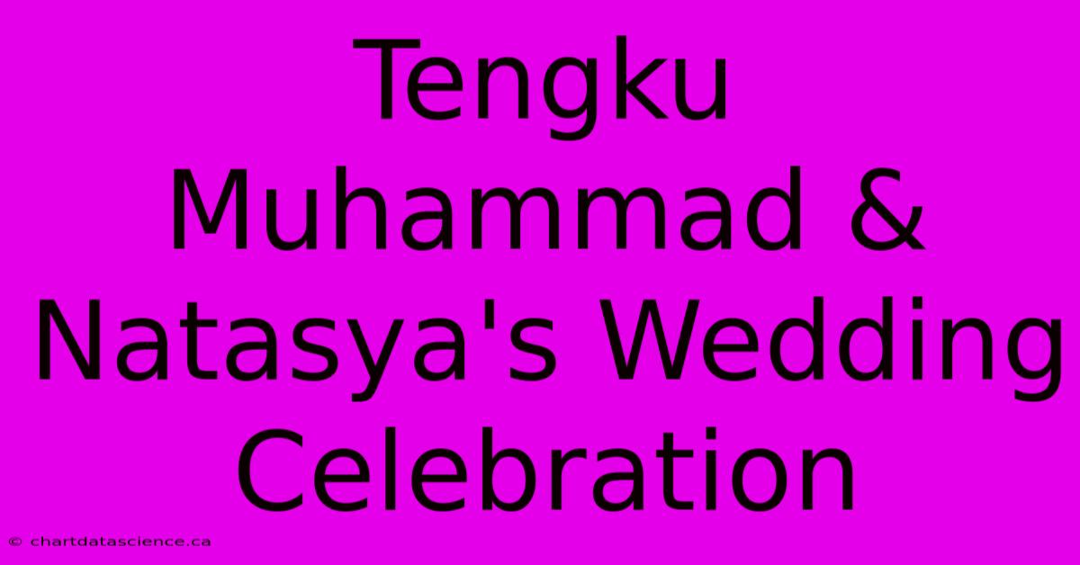 Tengku Muhammad & Natasya's Wedding Celebration