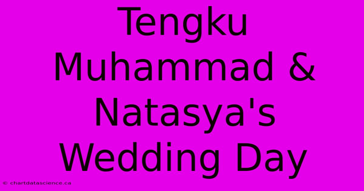 Tengku Muhammad & Natasya's Wedding Day