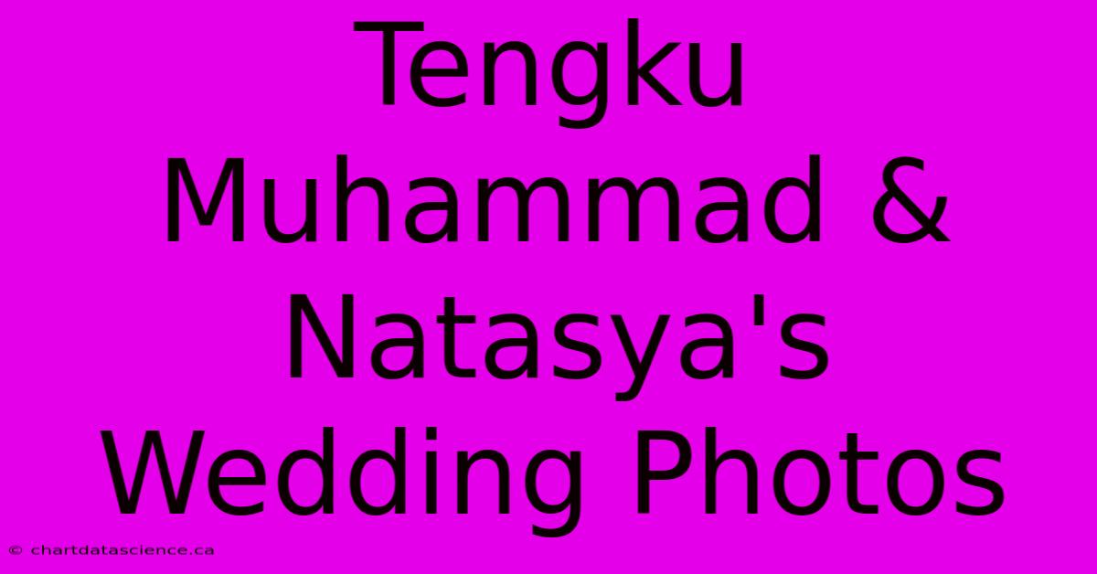 Tengku Muhammad & Natasya's Wedding Photos