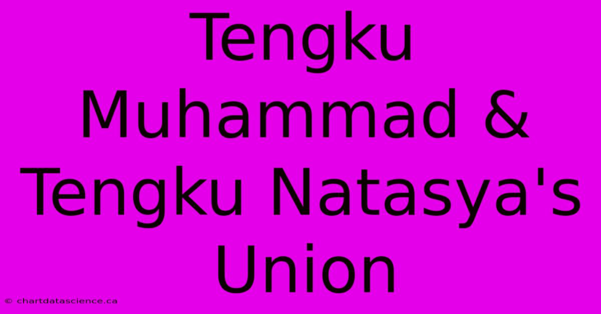 Tengku Muhammad & Tengku Natasya's Union