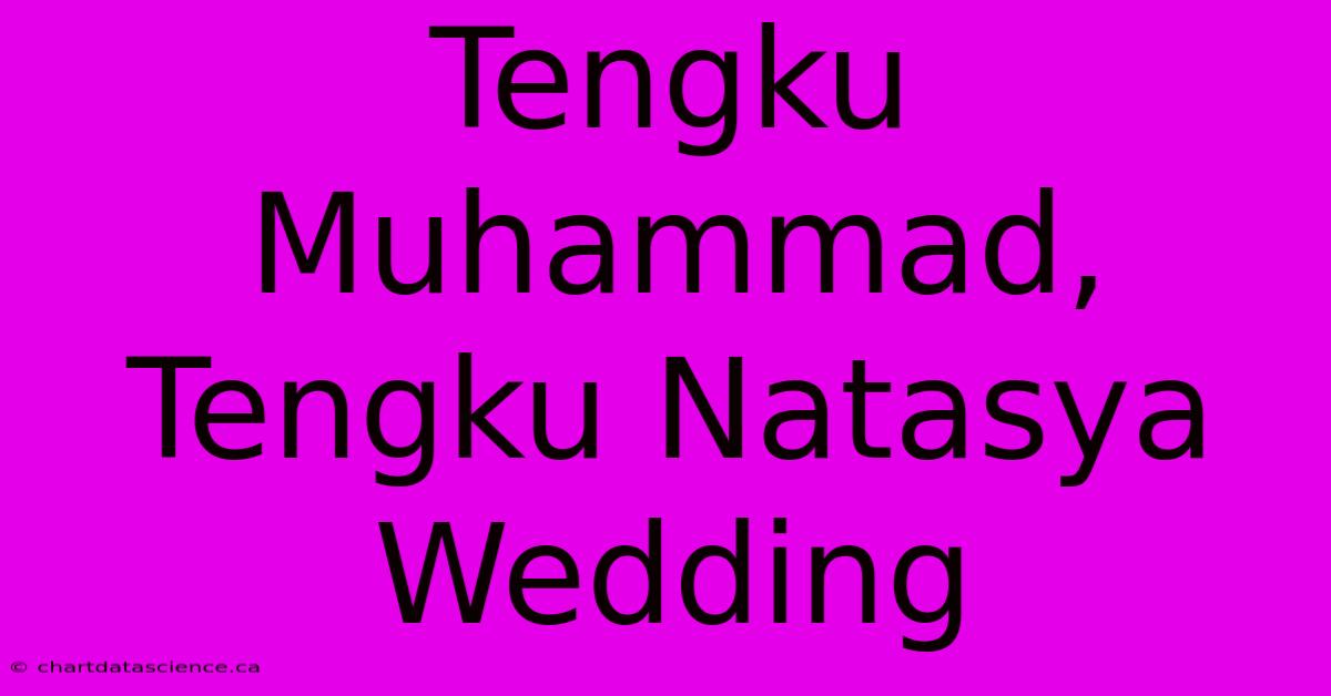 Tengku Muhammad, Tengku Natasya Wedding