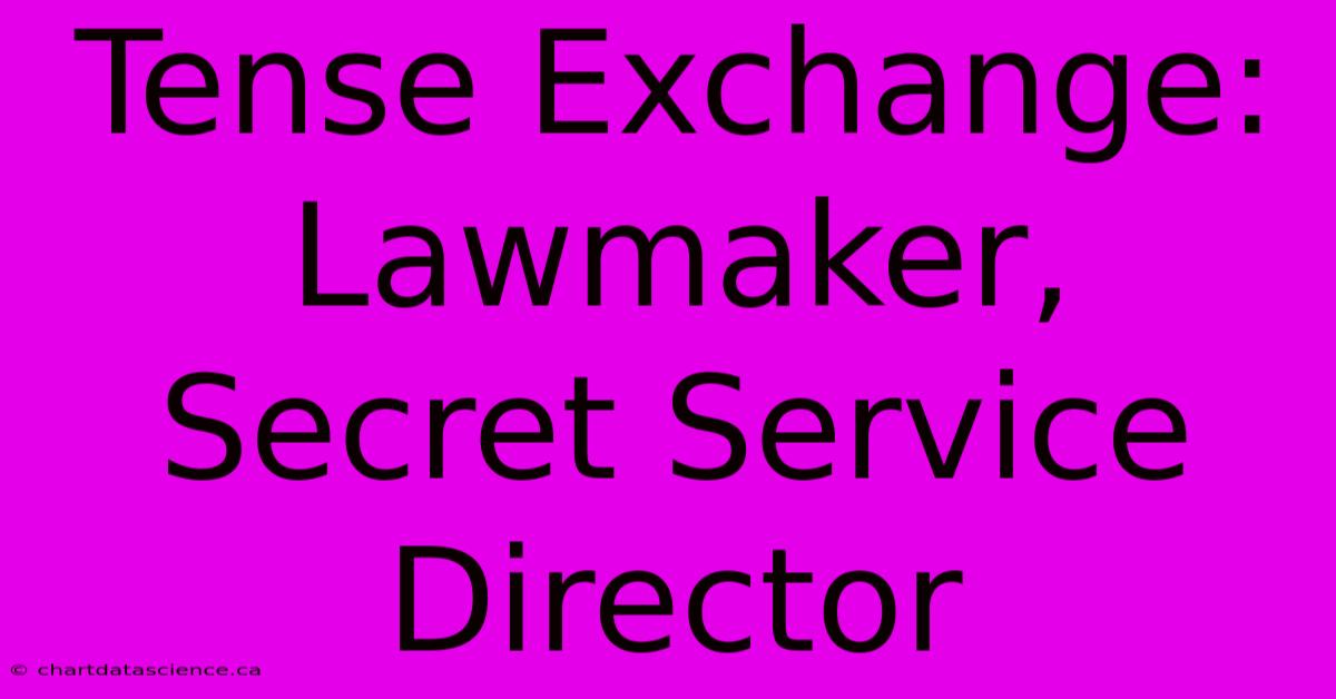 Tense Exchange: Lawmaker, Secret Service Director