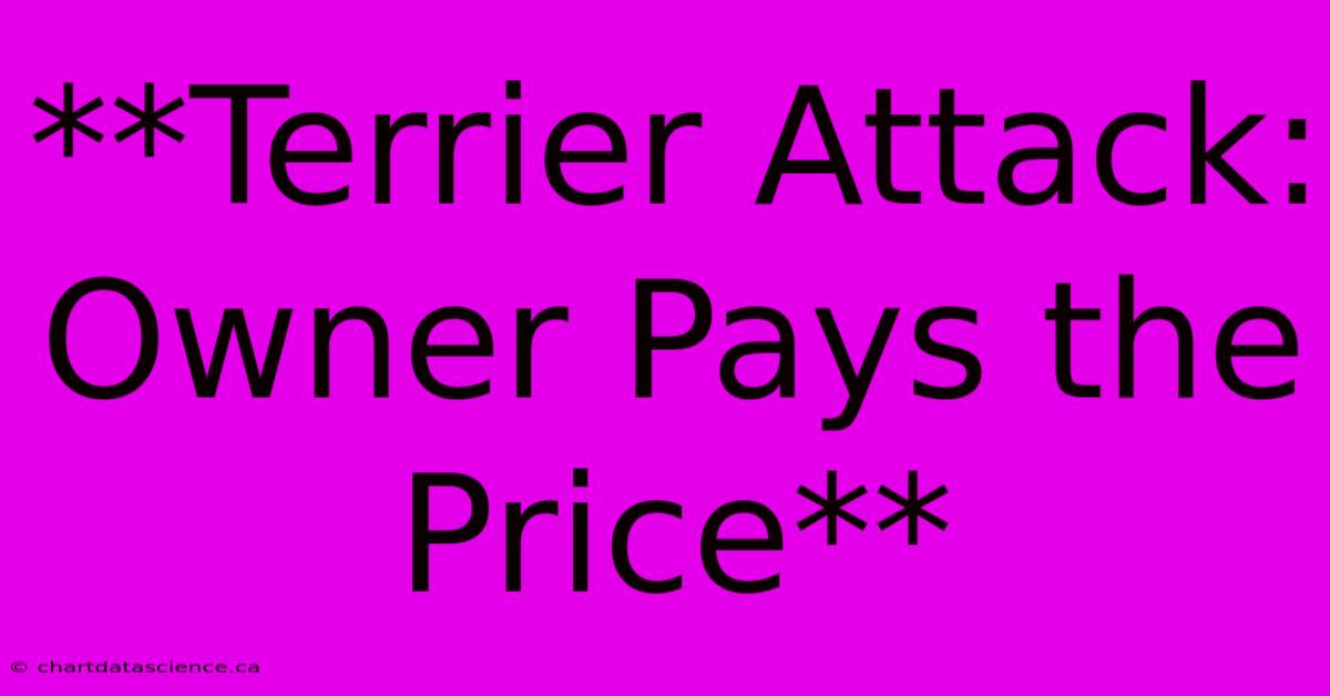 **Terrier Attack: Owner Pays The Price**