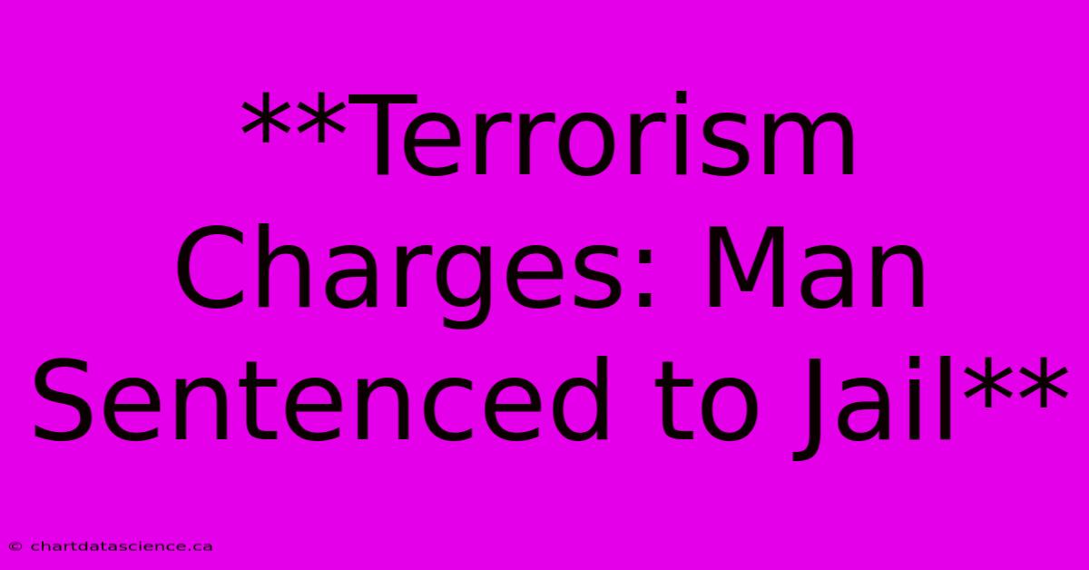 **Terrorism Charges: Man Sentenced To Jail**