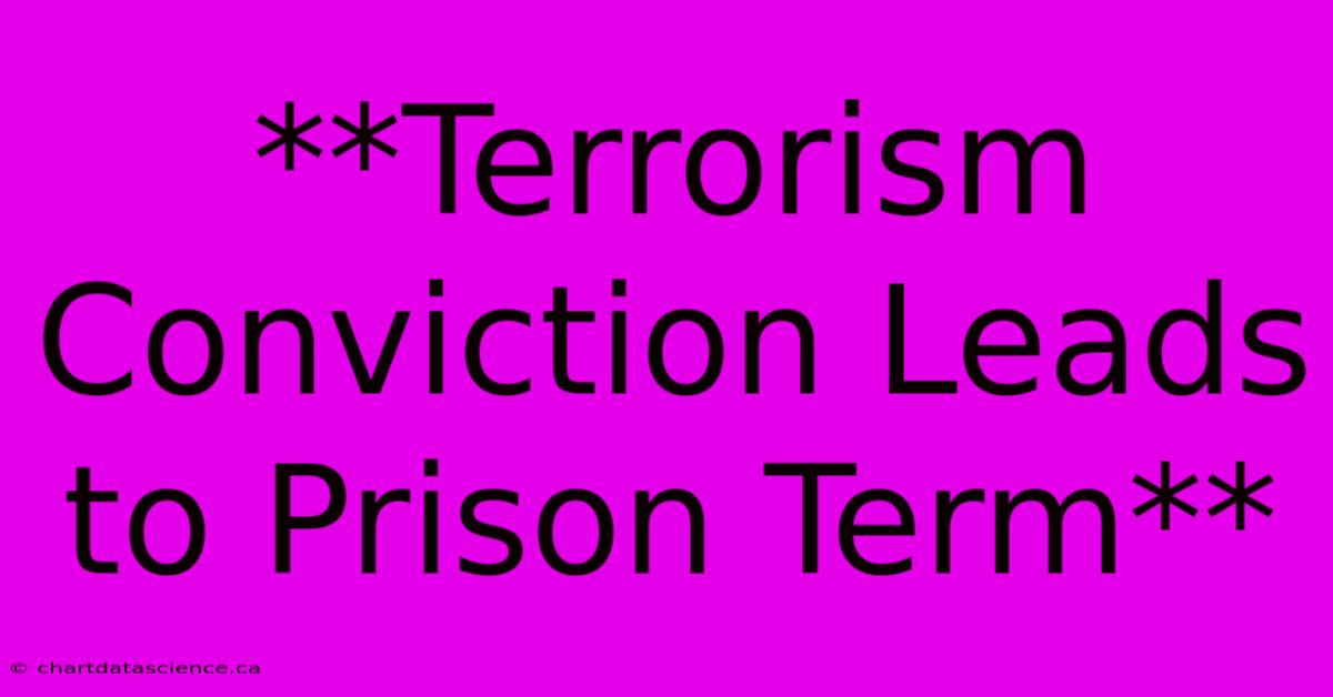 **Terrorism Conviction Leads To Prison Term**