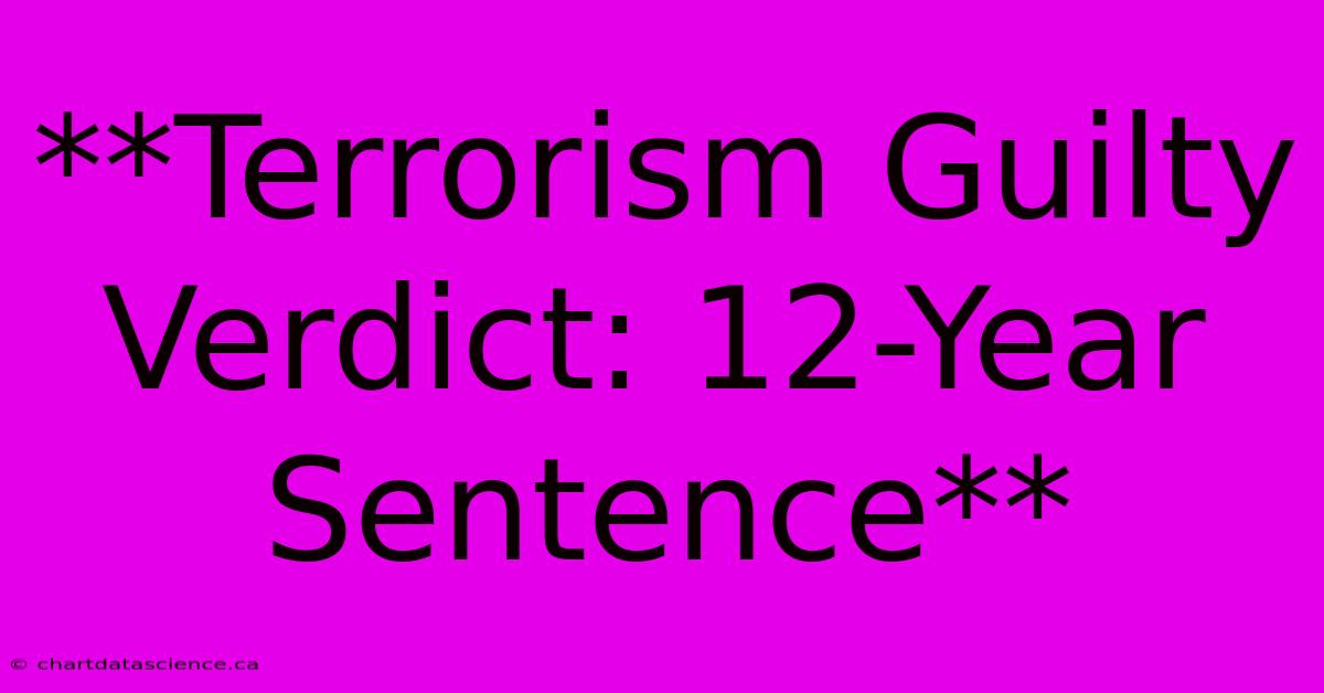 **Terrorism Guilty Verdict: 12-Year Sentence** 