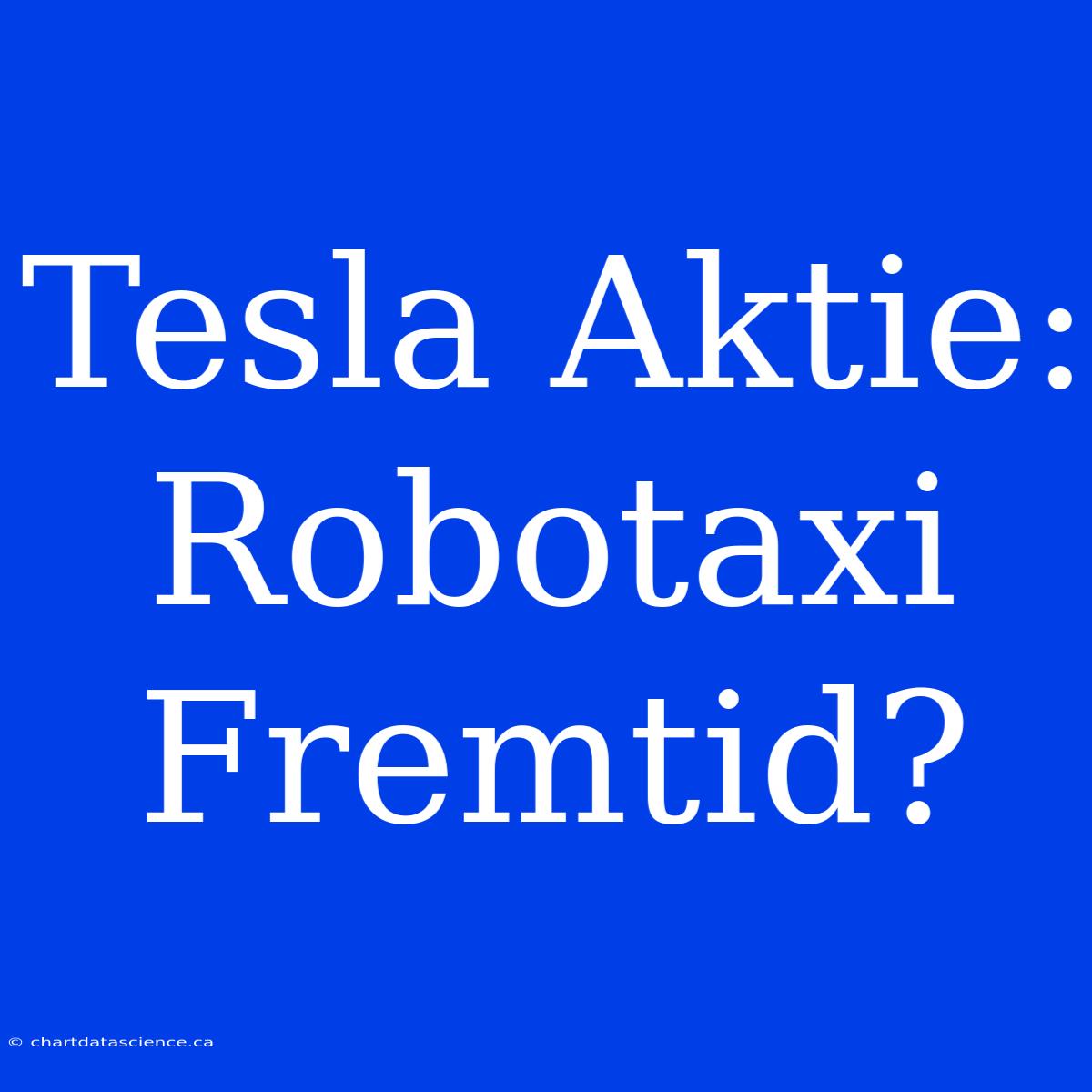 Tesla Aktie: Robotaxi Fremtid?