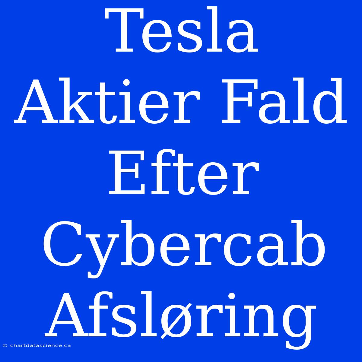 Tesla Aktier Fald Efter Cybercab Afsløring