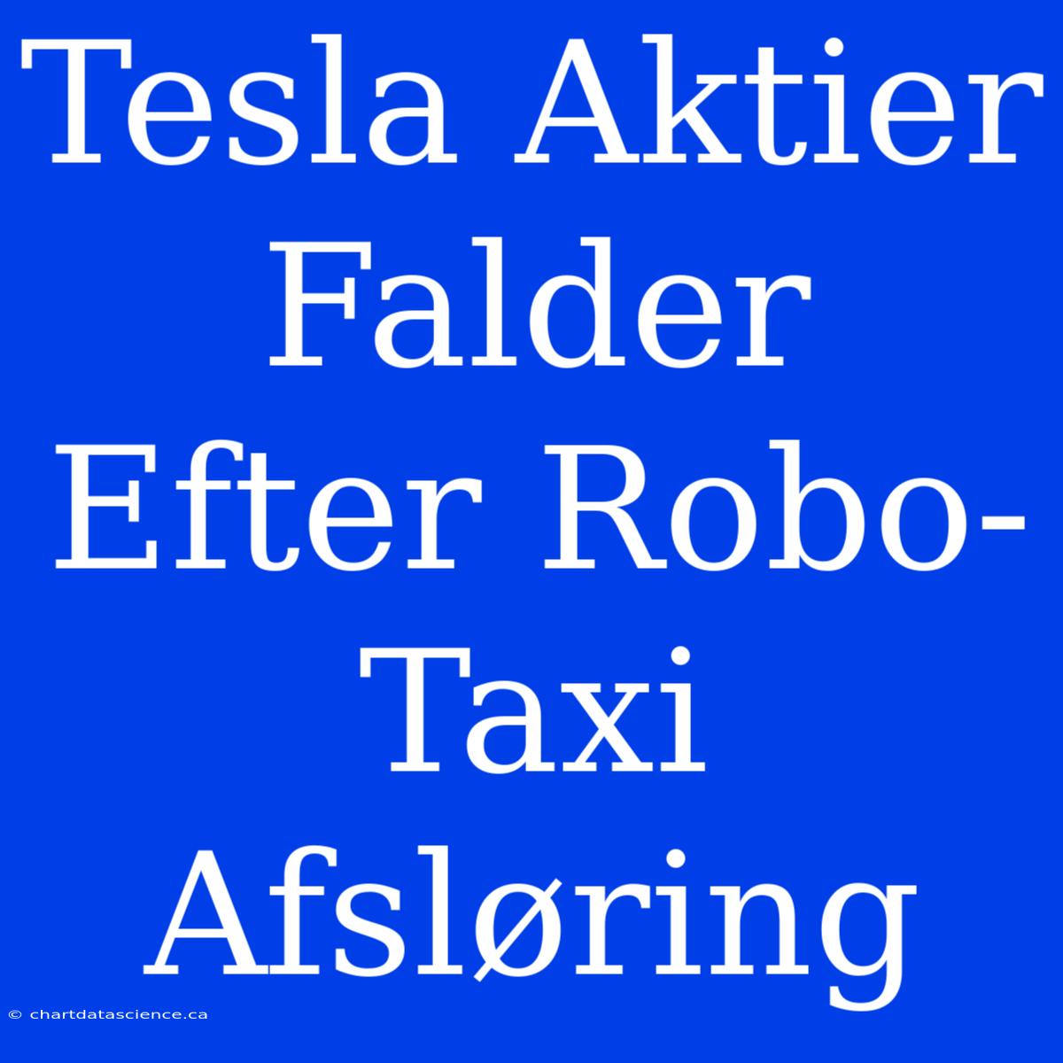 Tesla Aktier Falder Efter Robo-Taxi Afsløring