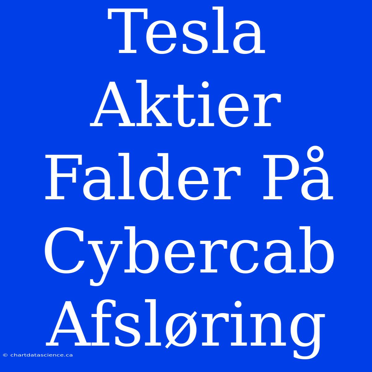 Tesla Aktier Falder På Cybercab Afsløring