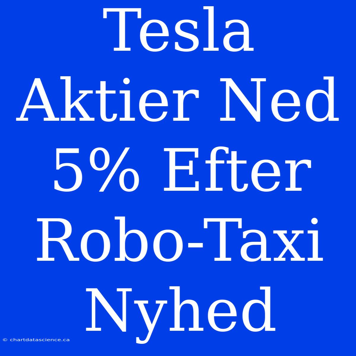 Tesla Aktier Ned 5% Efter Robo-Taxi Nyhed