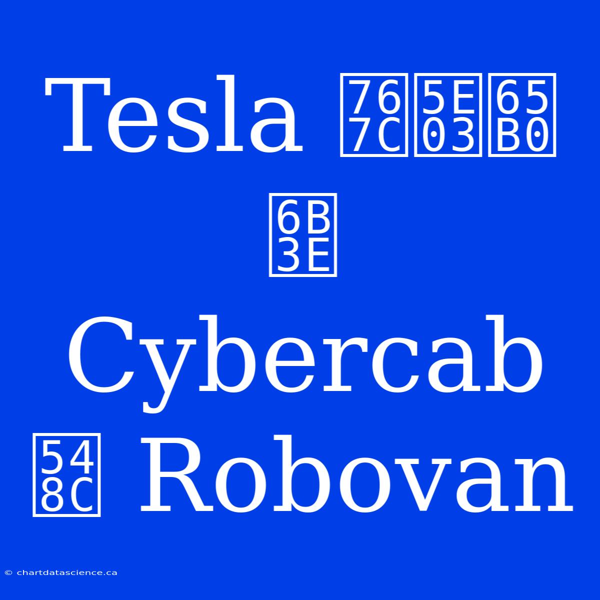 Tesla 發布新款 Cybercab 和 Robovan