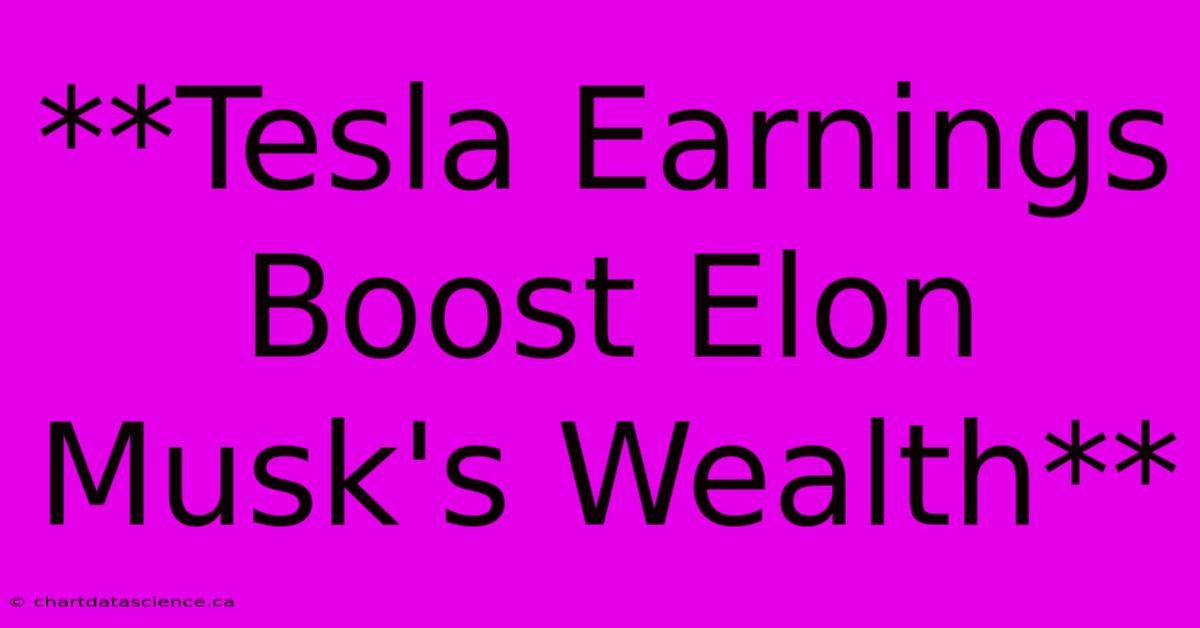 **Tesla Earnings Boost Elon Musk's Wealth** 