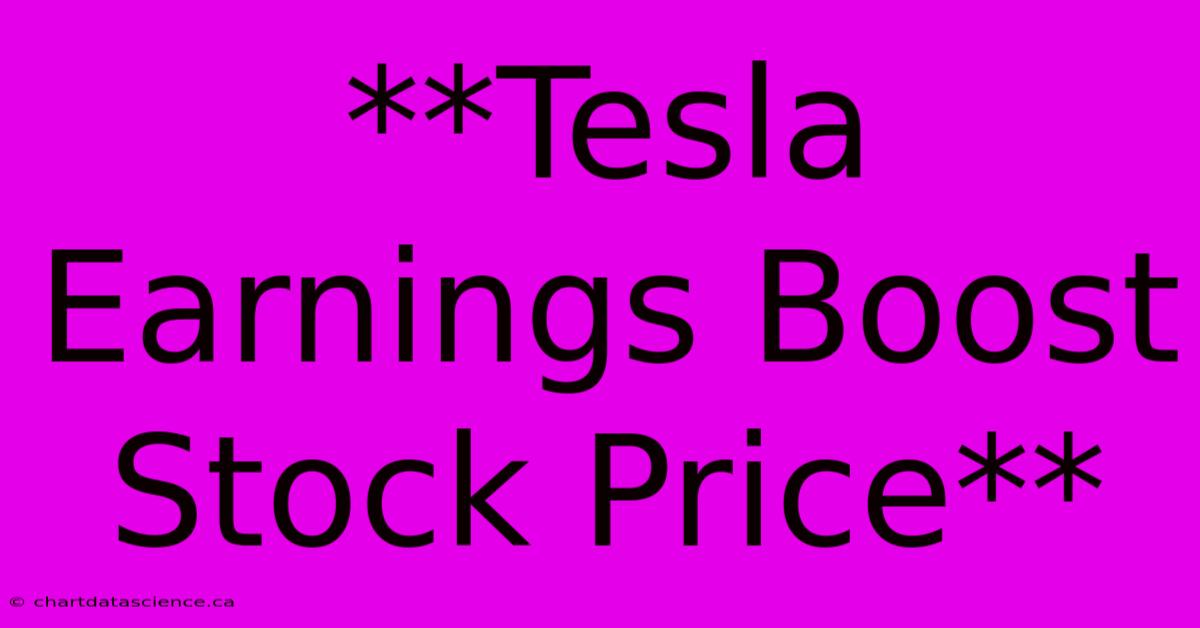 **Tesla Earnings Boost Stock Price**