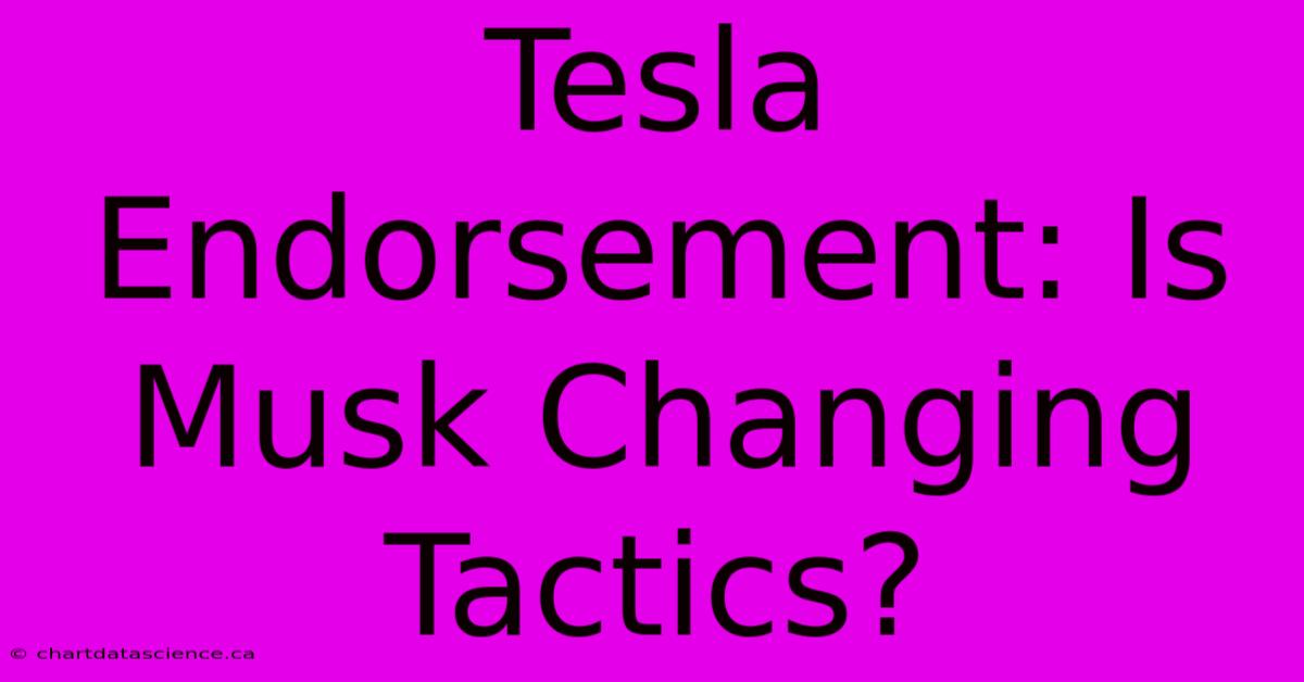 Tesla Endorsement: Is Musk Changing Tactics?