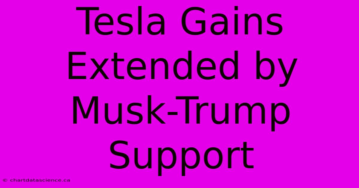 Tesla Gains Extended By Musk-Trump Support