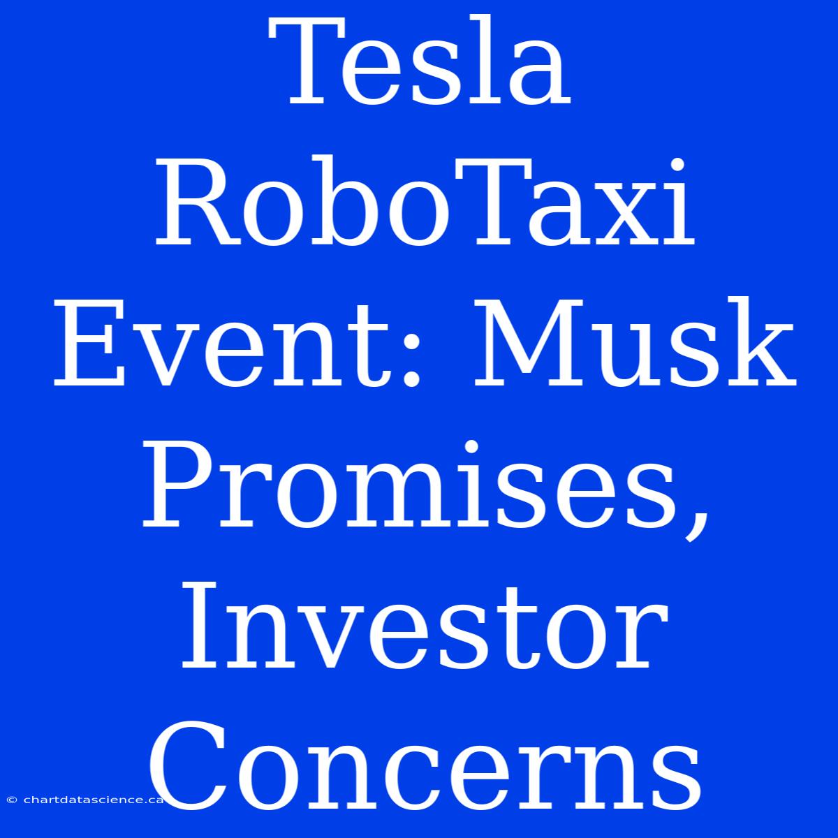 Tesla RoboTaxi Event: Musk Promises, Investor Concerns