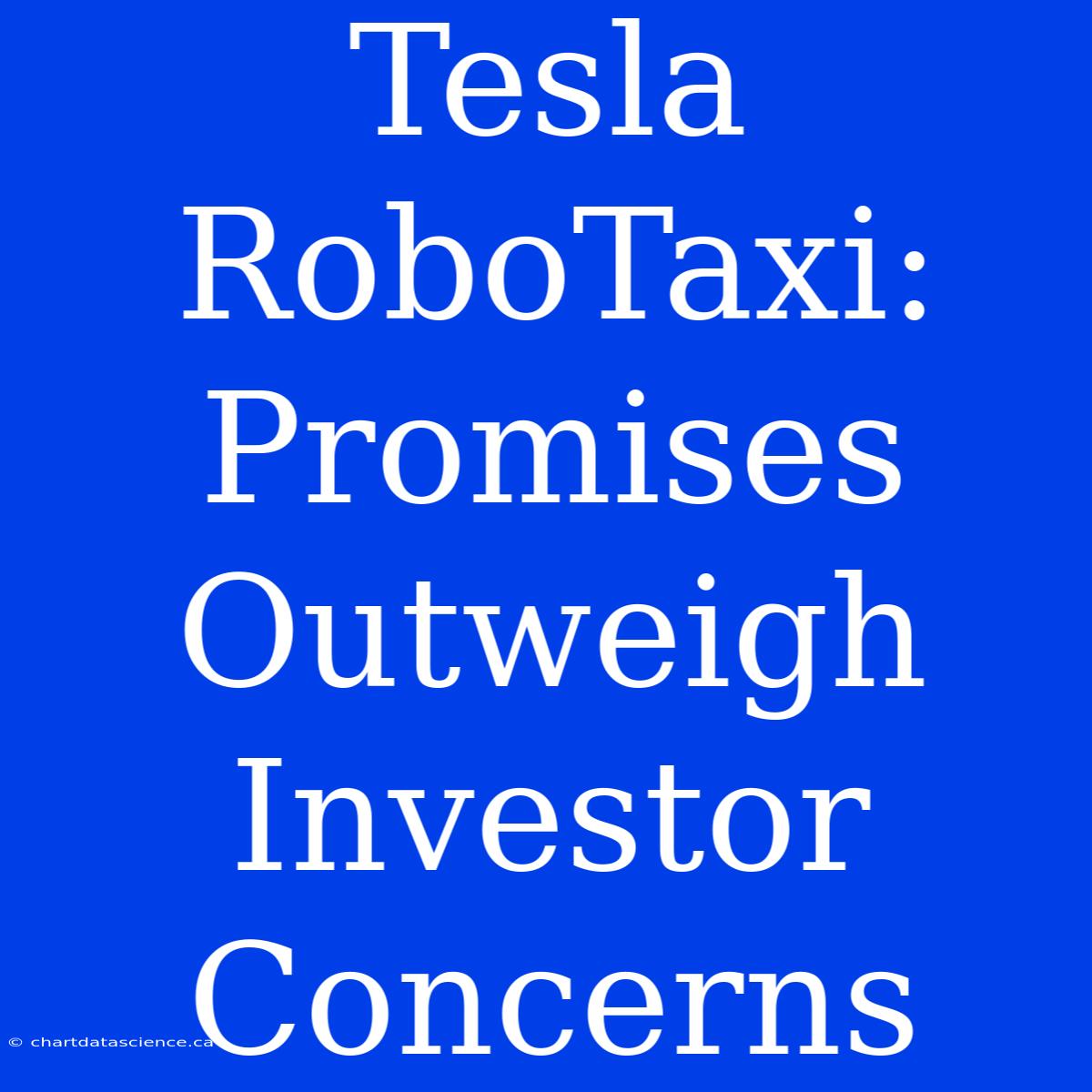 Tesla RoboTaxi: Promises Outweigh Investor Concerns