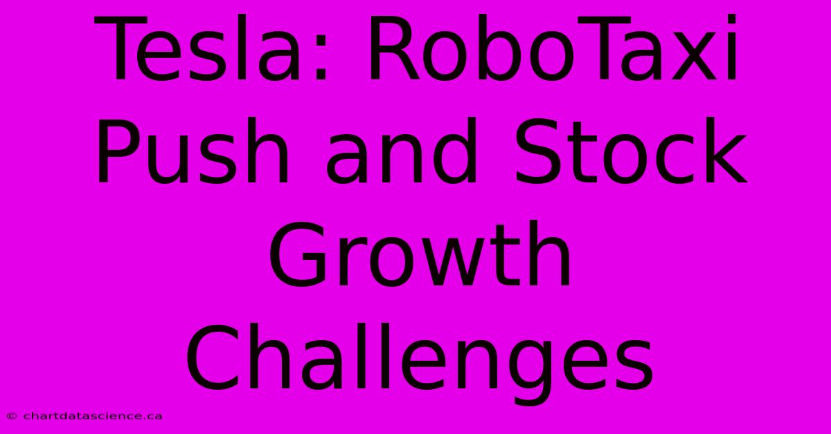 Tesla: RoboTaxi Push And Stock Growth Challenges 